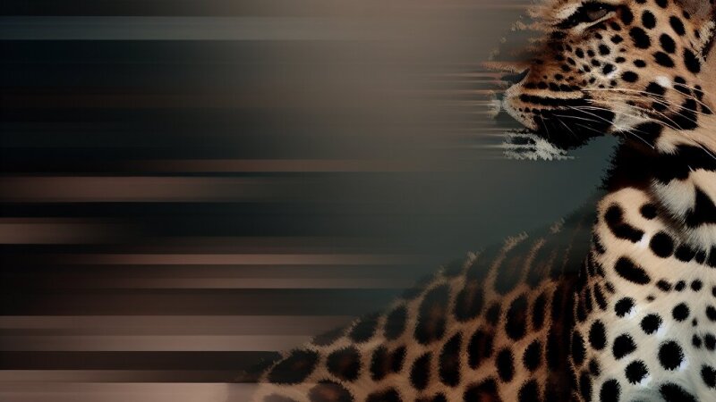 Miért van a leopárd bundáján pöttyös minta? A természet titkai